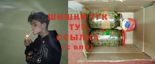 mdpv Каменногорск