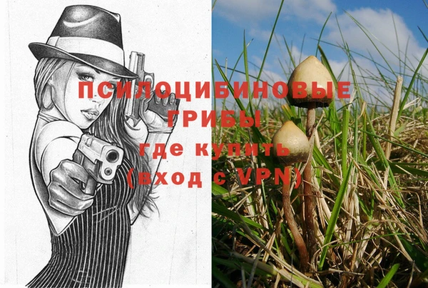 наркотики Ветлуга